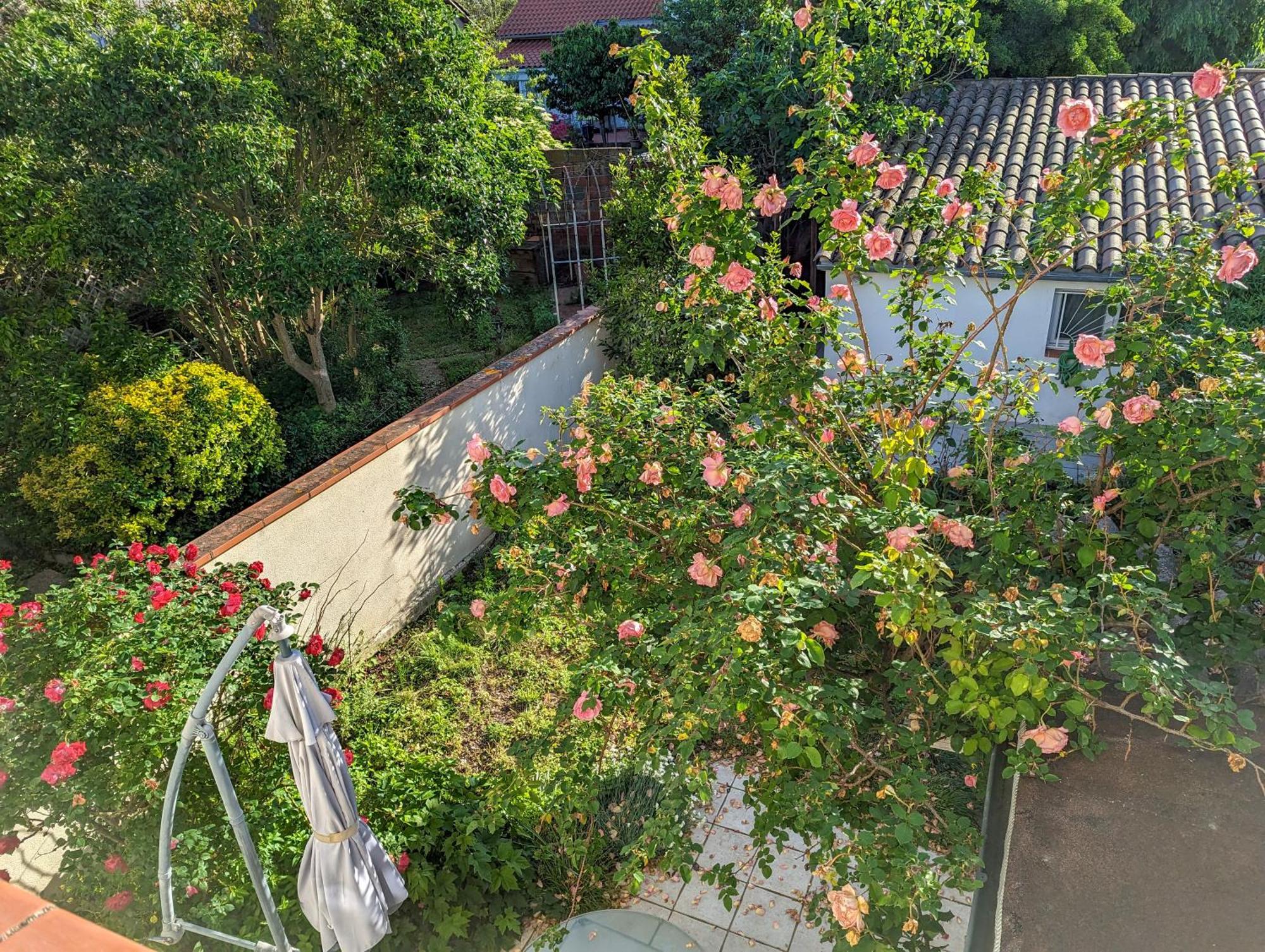 La Maison Calme Et Lumineuse Avec Jardin Toulouse Exterior photo